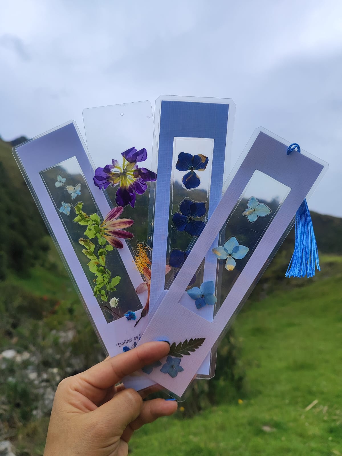 Separadores de flores prensadas